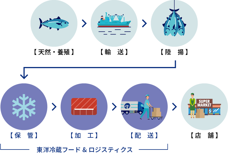東洋冷蔵グループにおける弊社の事業(マグロの場合)