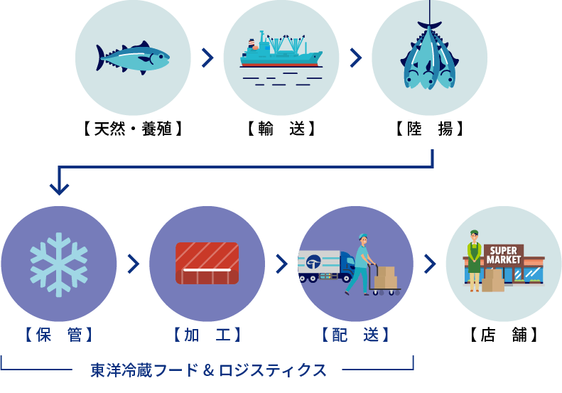 東洋冷蔵グループにおける弊社の事業（マグロの場合）