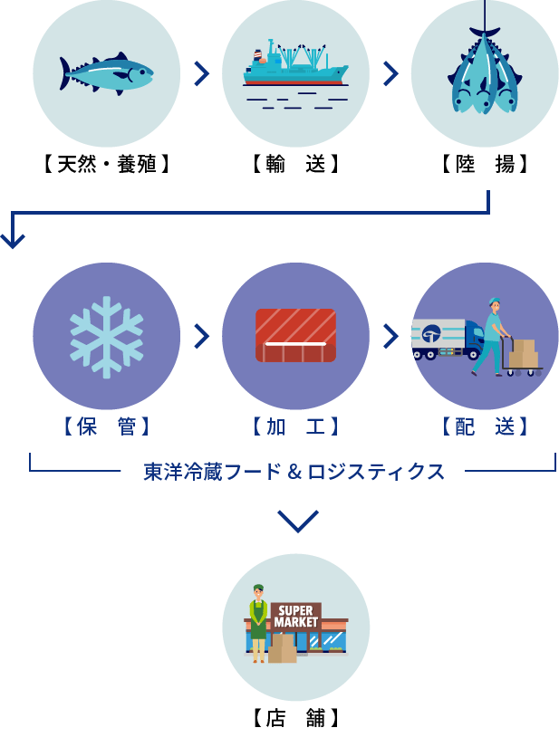 東洋冷蔵グループにおける弊社の事業(マグロの場合)