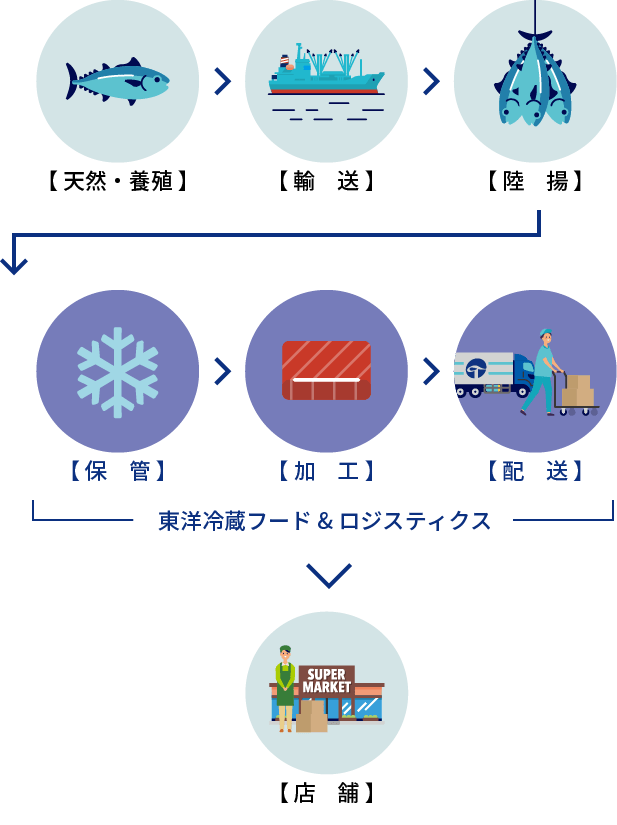 東洋冷蔵グループにおける弊社の事業（マグロの場合）